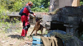 Arama Kurtarma Köpeklerinden Başarılı Sınav